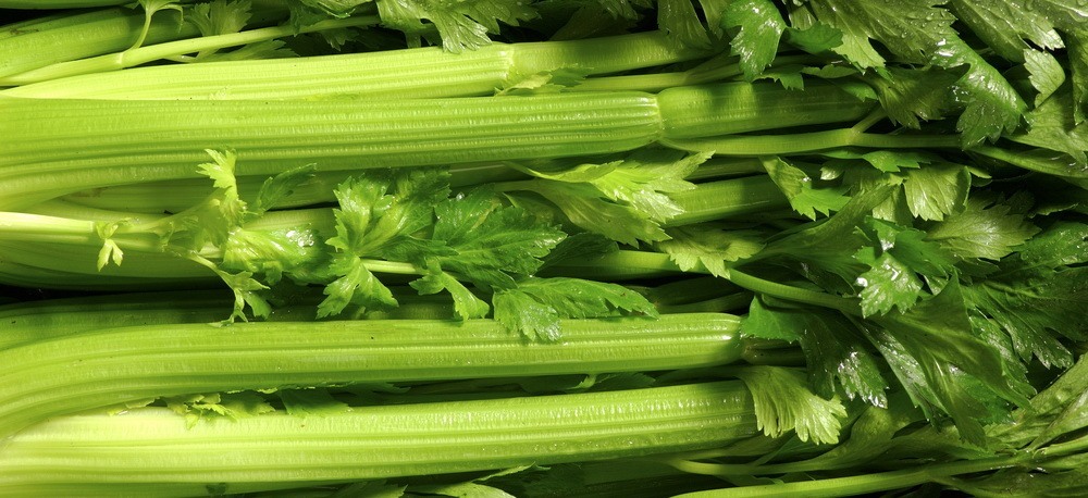 Benefits Of Celery